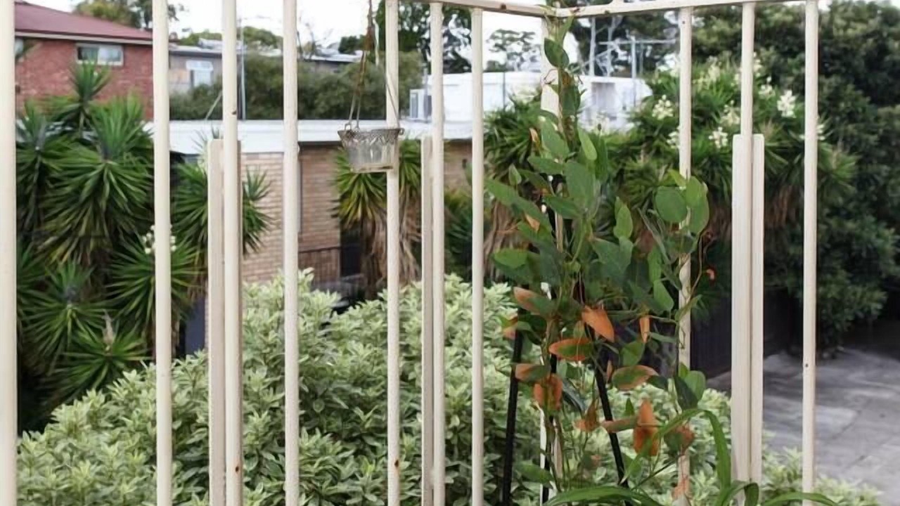 Photo of Outdoor in St. Kilda East