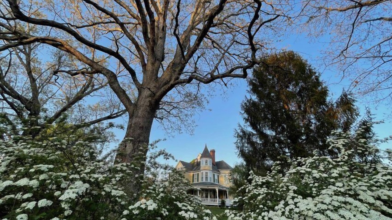 Photo of Outdoor in Christiansburg