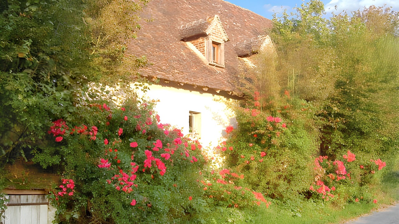 Photo of Outdoor in Coudray-au-Perche