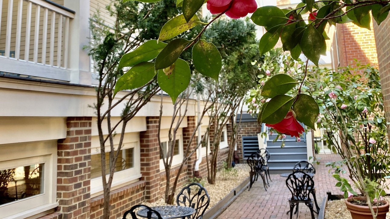 Photo of Outdoor in Monroe Ward