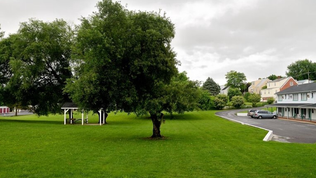 Photo of Outdoor in Luray