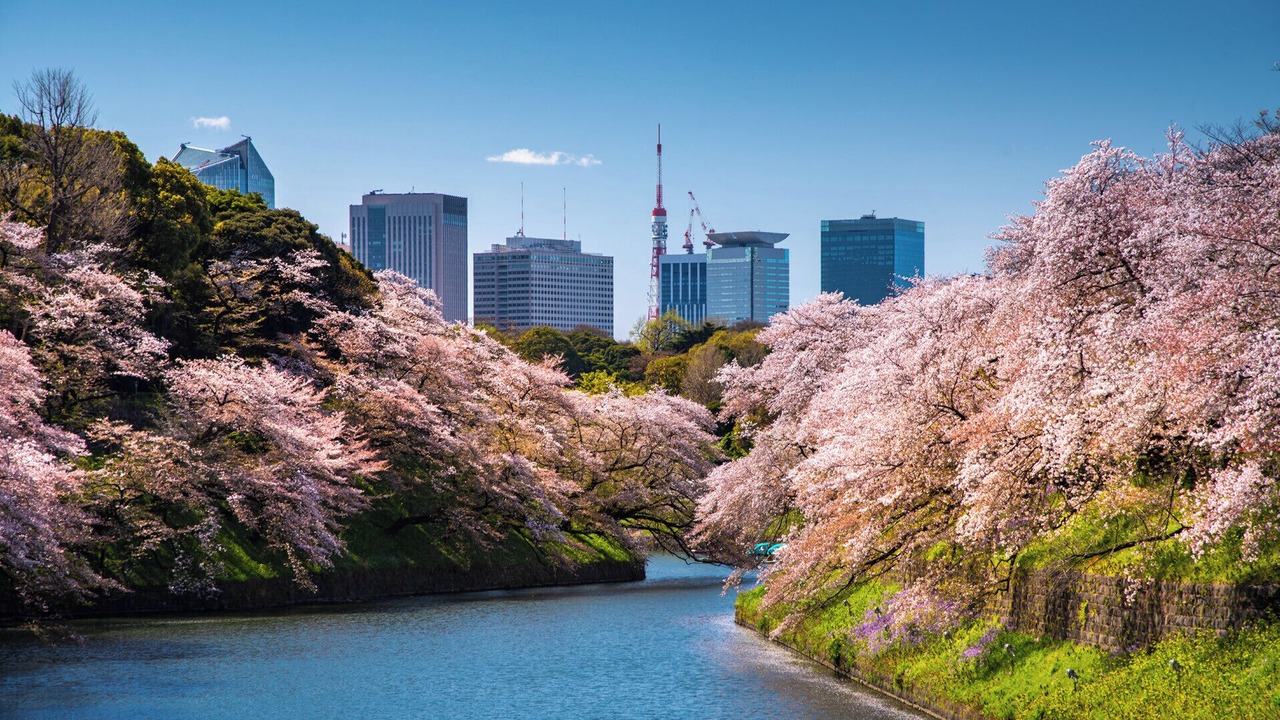 Photo of Outdoor in Chuo