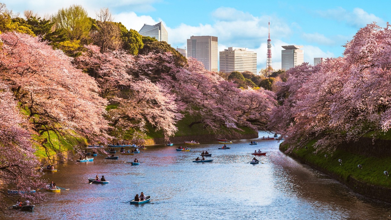 Photo of Others in Chuo