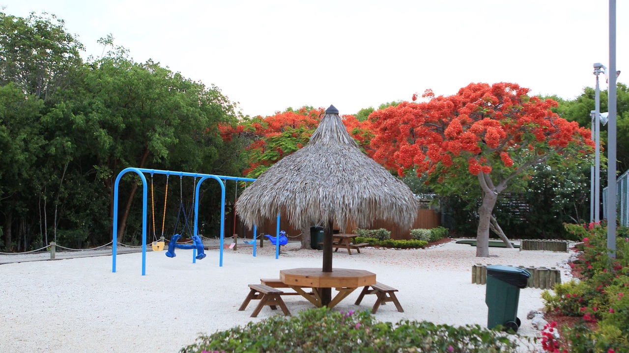 Photo of Others in Tavernier