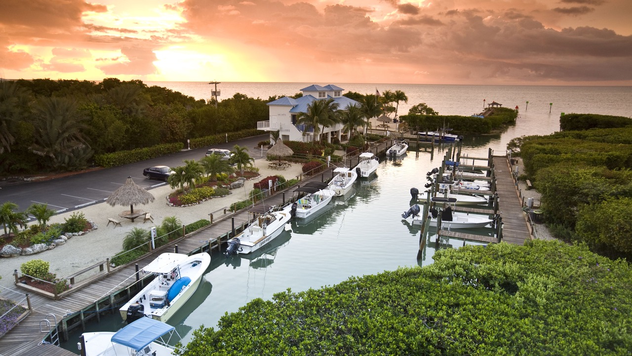 Photo of Others in Tavernier