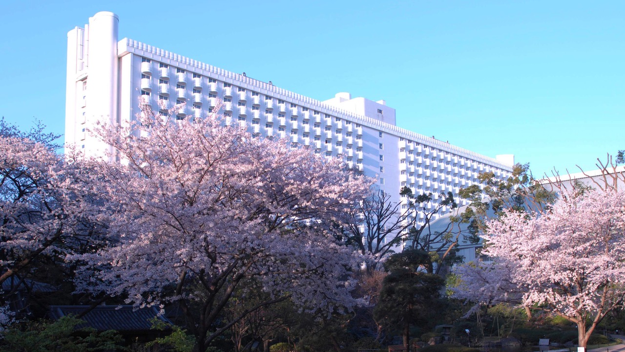 Photo of Outdoor in Takanawa