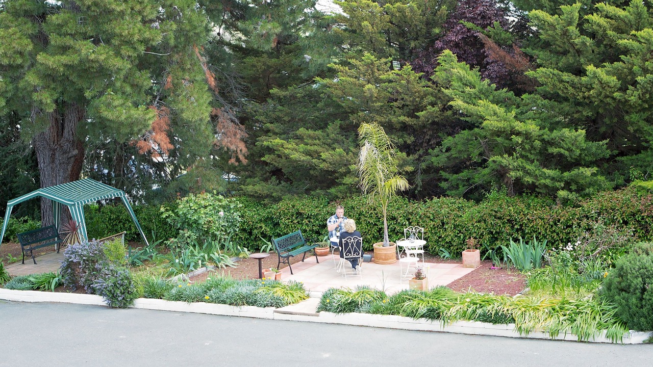 Photo of Others in Yass
