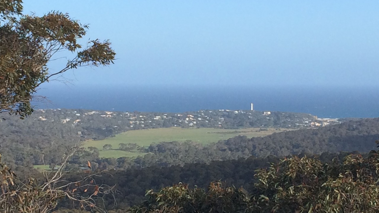Photo of Others in Aireys Inlet