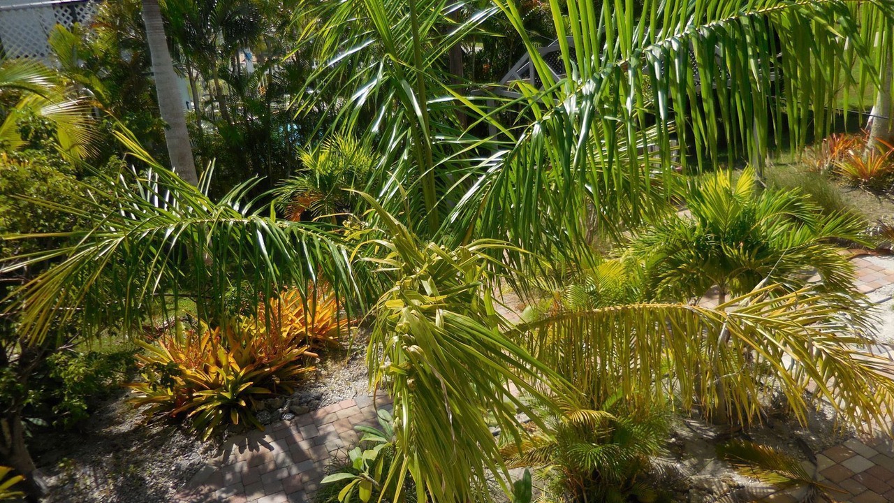 Photo of Outdoor in Marathon
