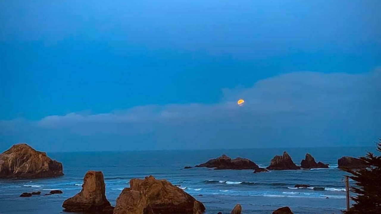 Photo of Others in Bandon