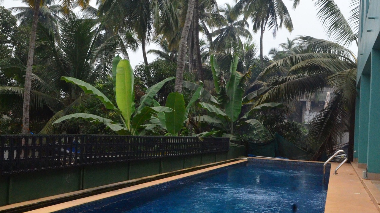 Photo of Outdoor in Mandrem