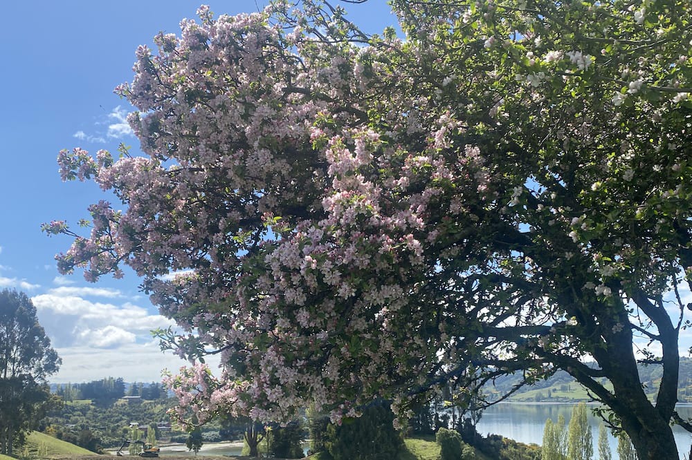 Photo of Outdoor in Castro