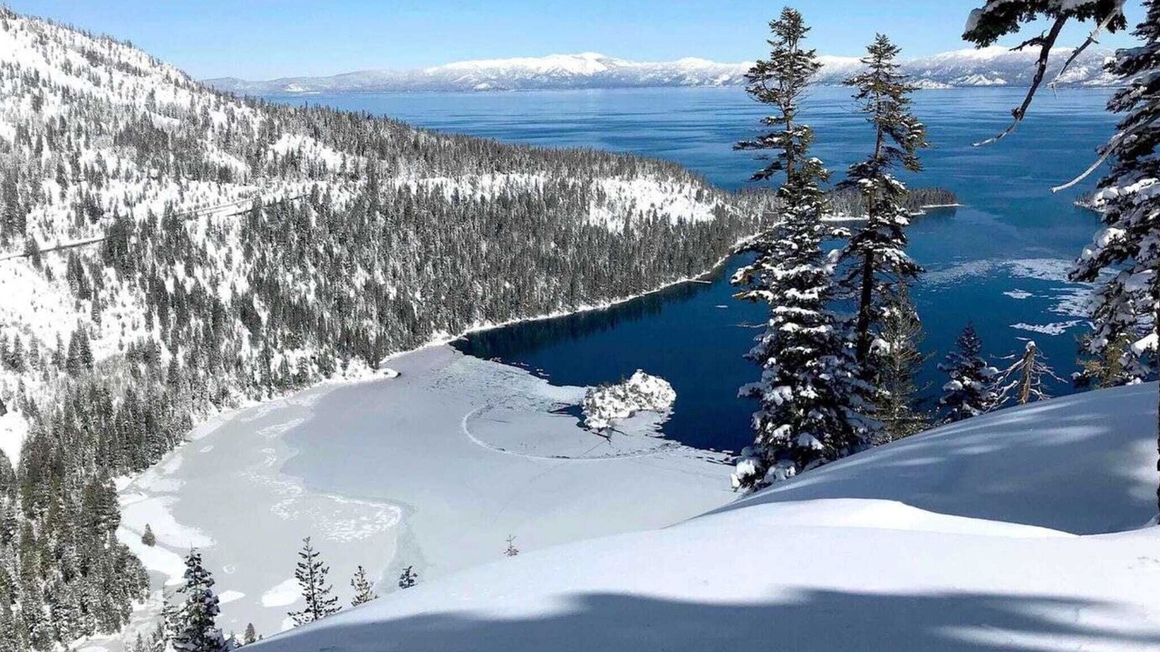 Photo of Others in Northwest Reno