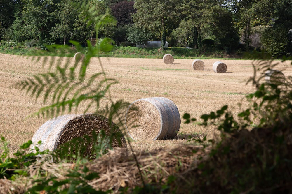 Photo of Outdoor in Landrevarzec