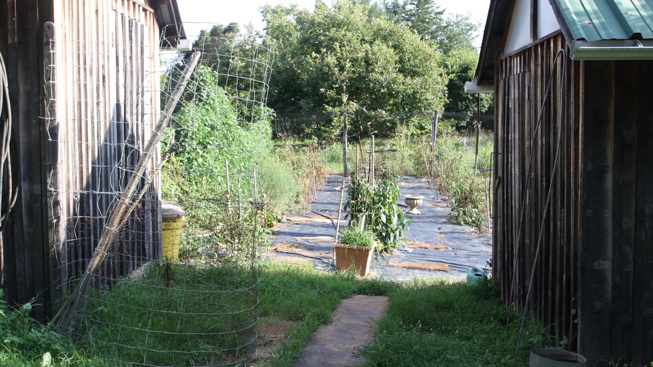 Photo of Outdoor in Buckingham