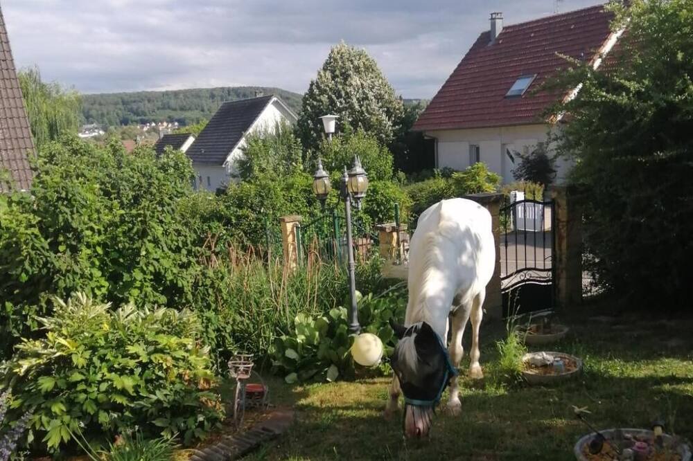 Photo of Outdoor in Illfurth