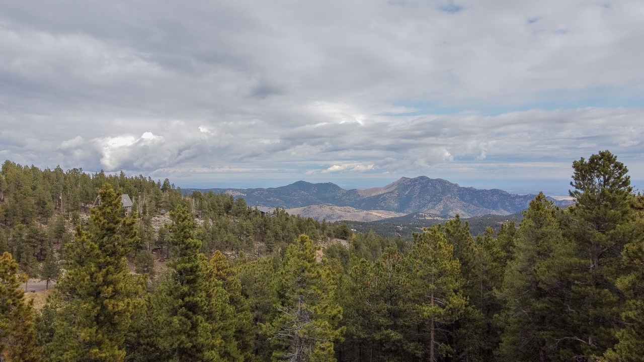 Photo of Others in Coal Creek Canyon