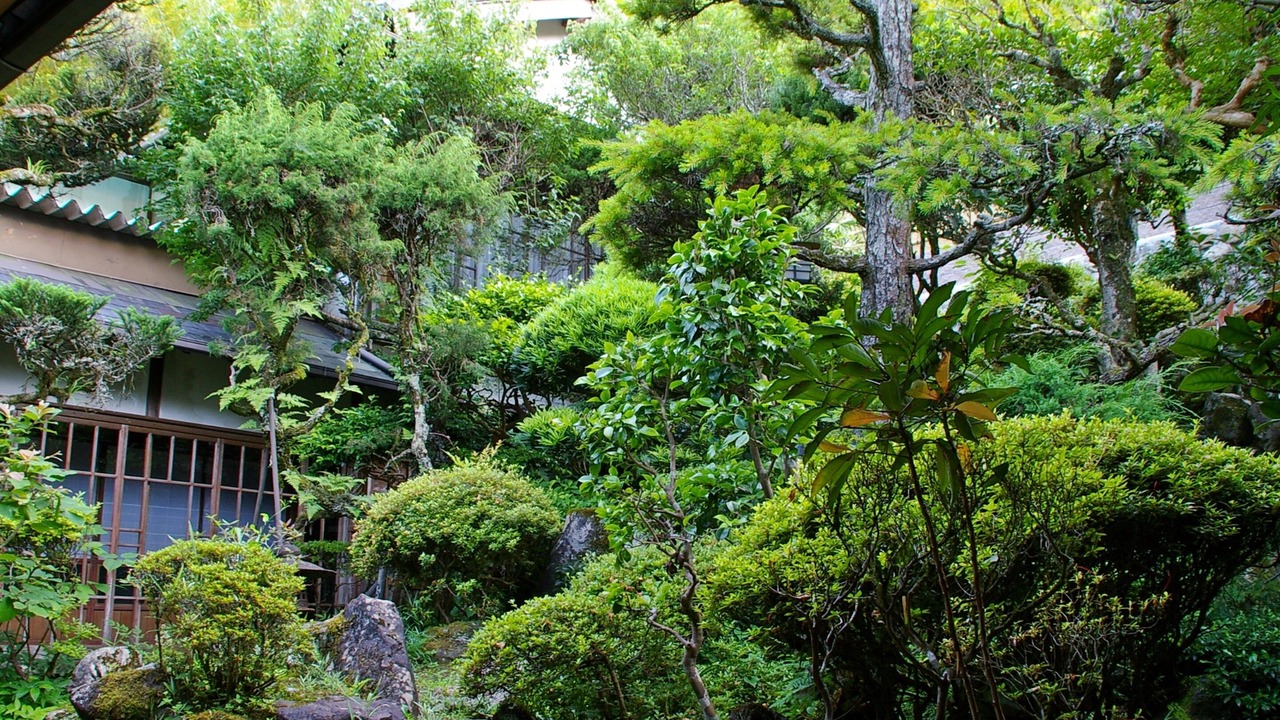 Photo of Others in Kawakami