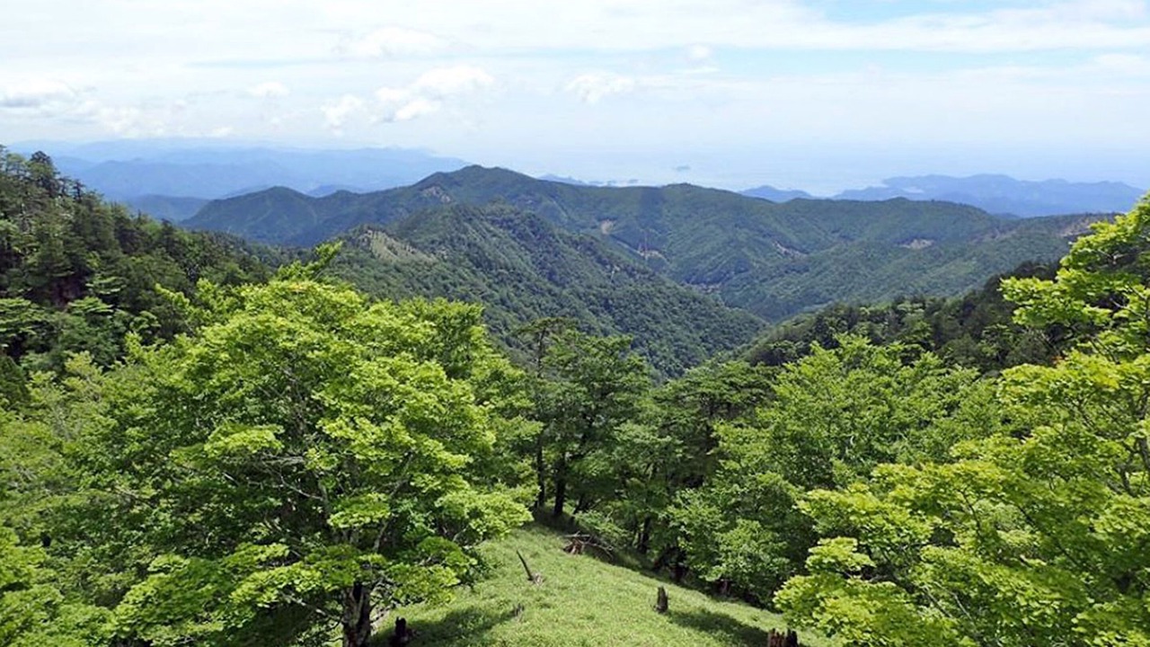 Photo of Others in Kawakami