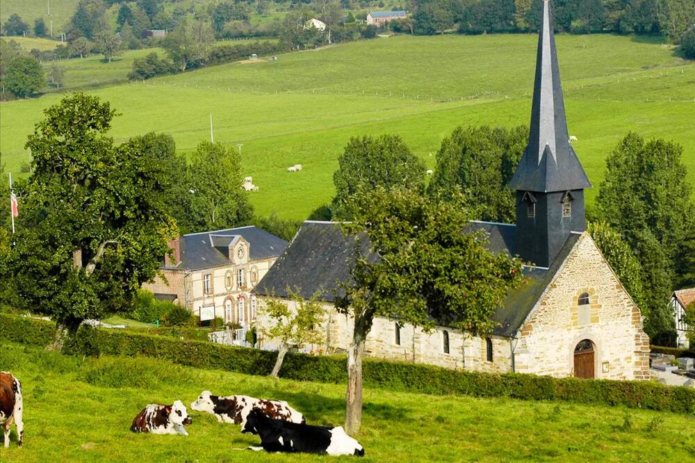 Photo of Others in Camembert