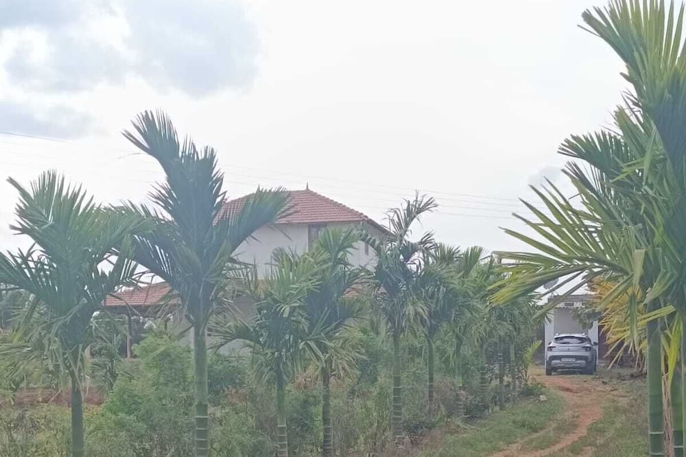 Photo of Outdoor in Hosur
