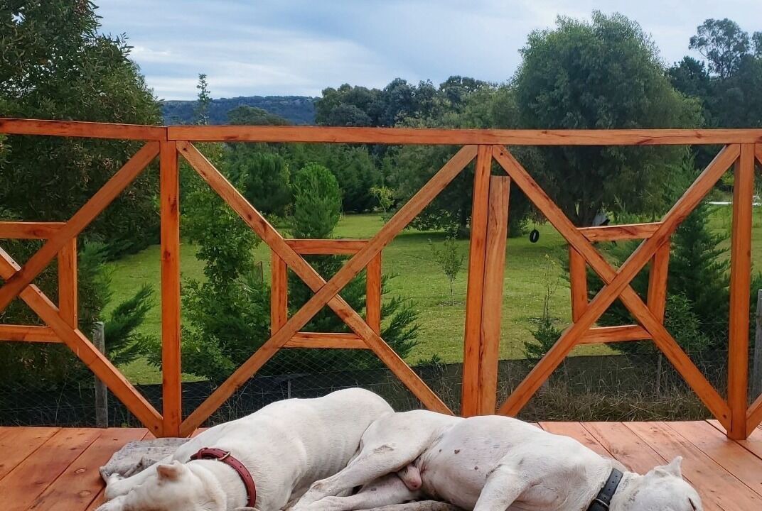 Photo of Outdoor in Laguna Brava