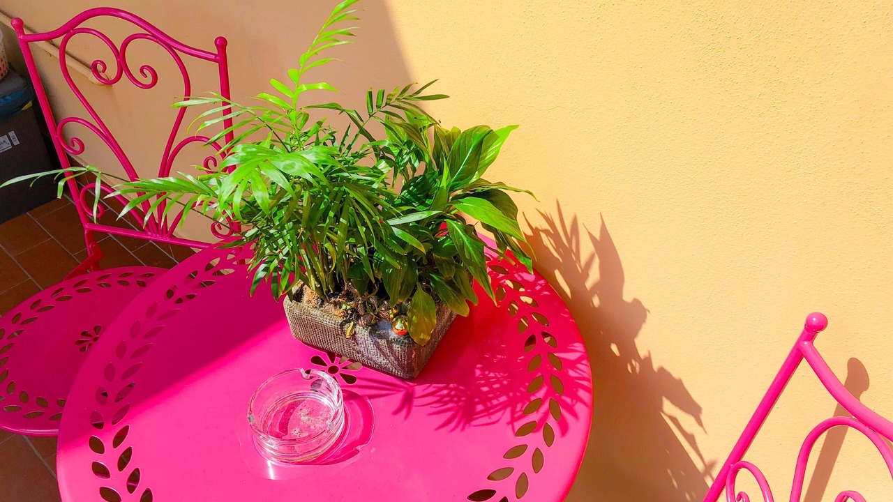 Photo of Outdoor in Nozzano Castello