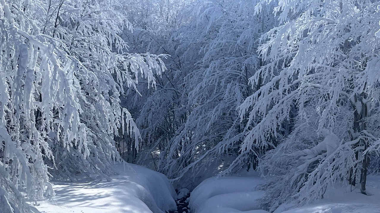 Photo of Outdoor in Fanano