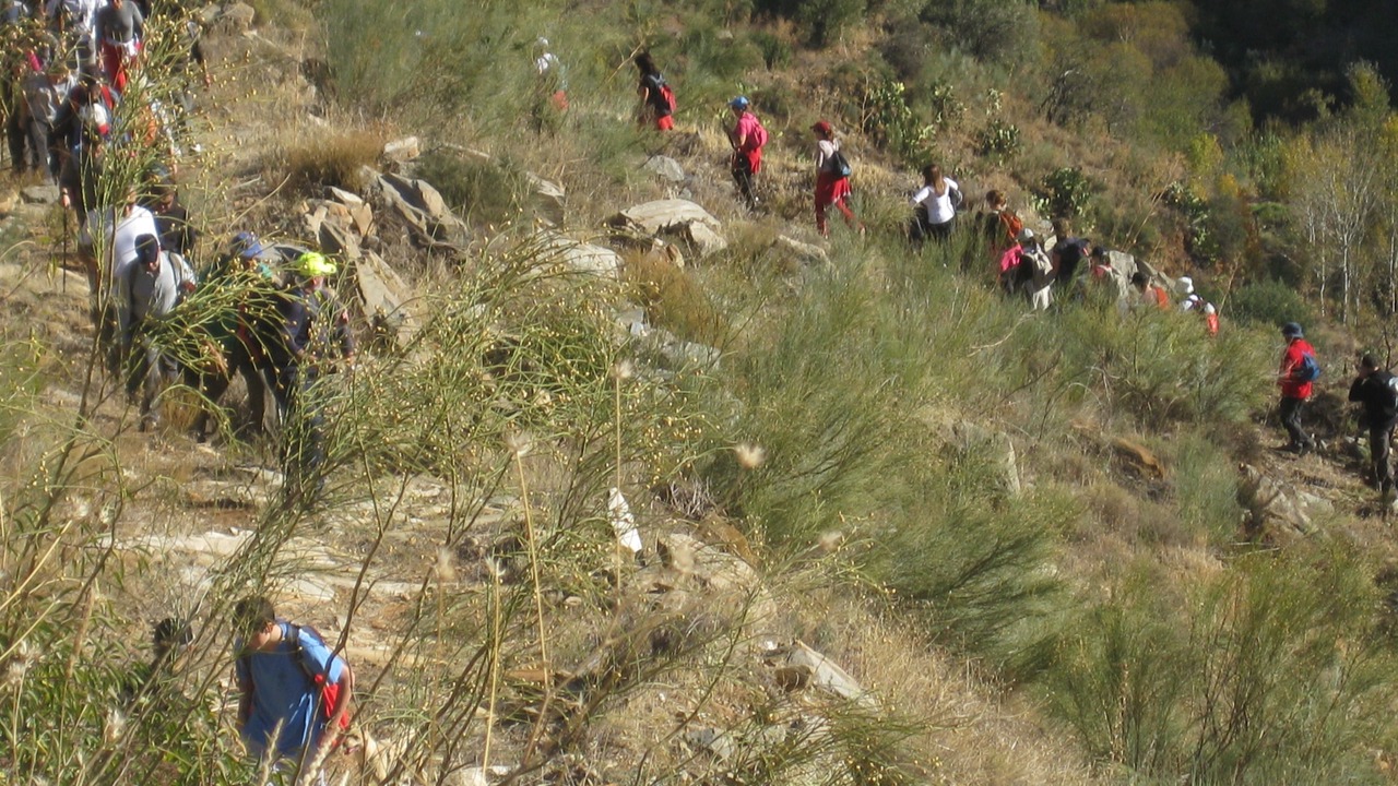 Photo of Outdoor in Laroya