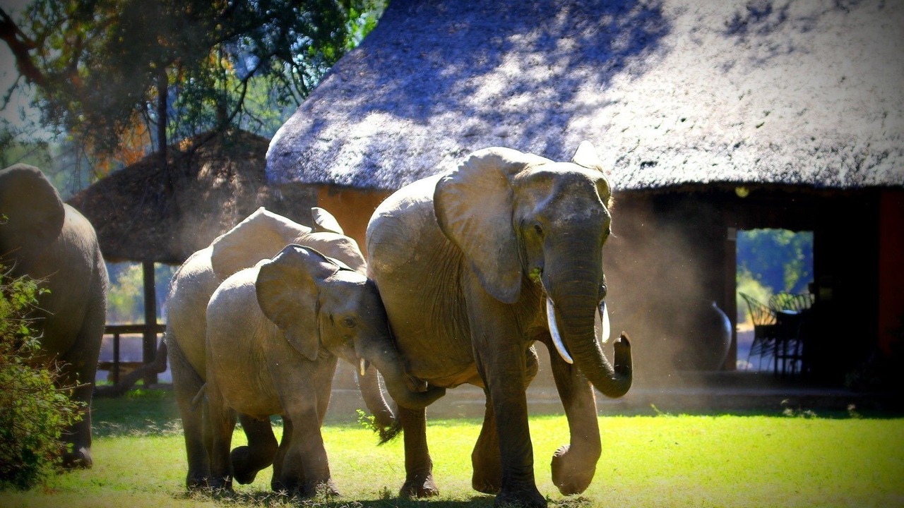Photo of Outdoor in Kakumbi