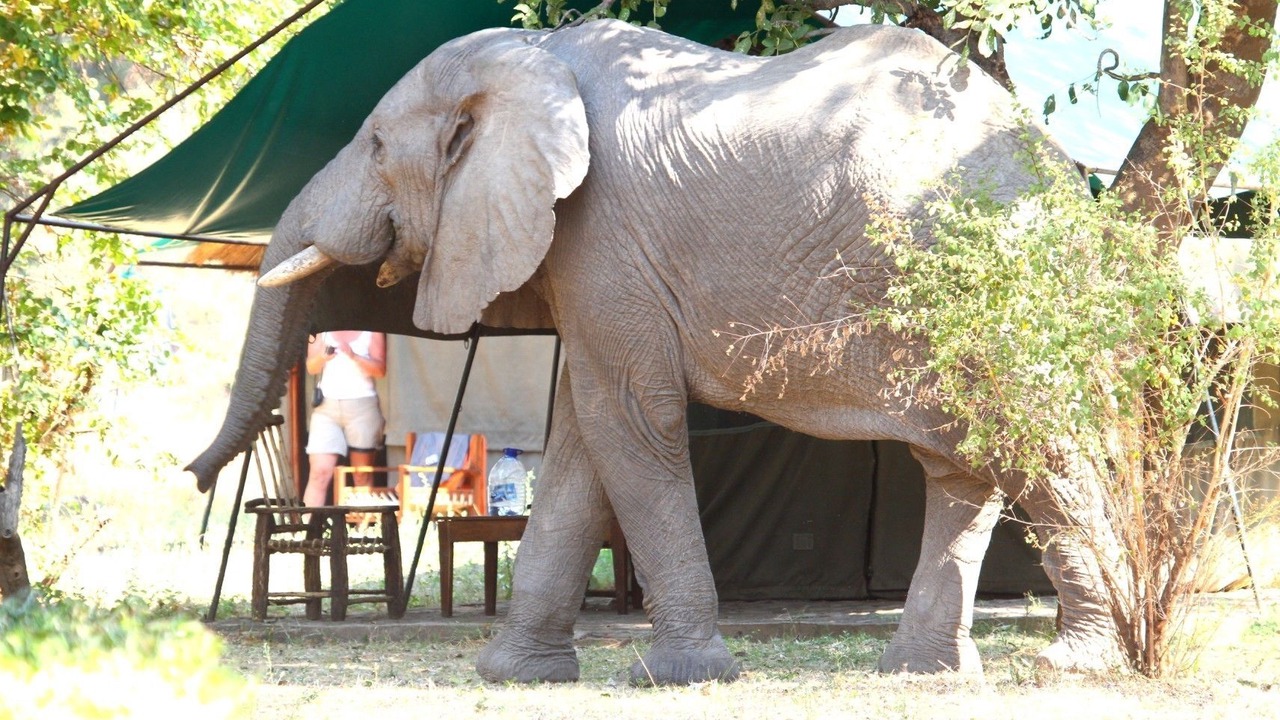 Photo of Outdoor in Kakumbi