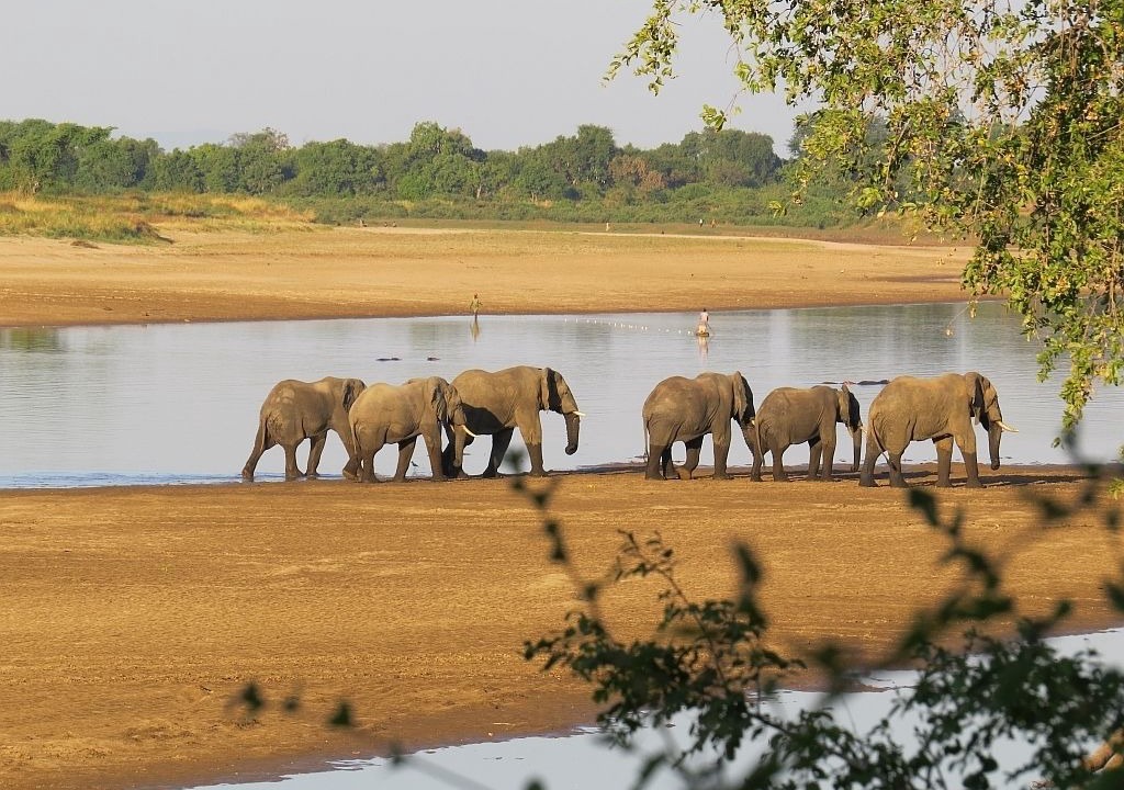 Photo of Others in Kakumbi
