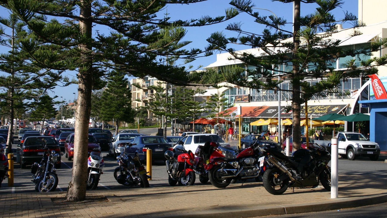 Photo of Others in Scarborough