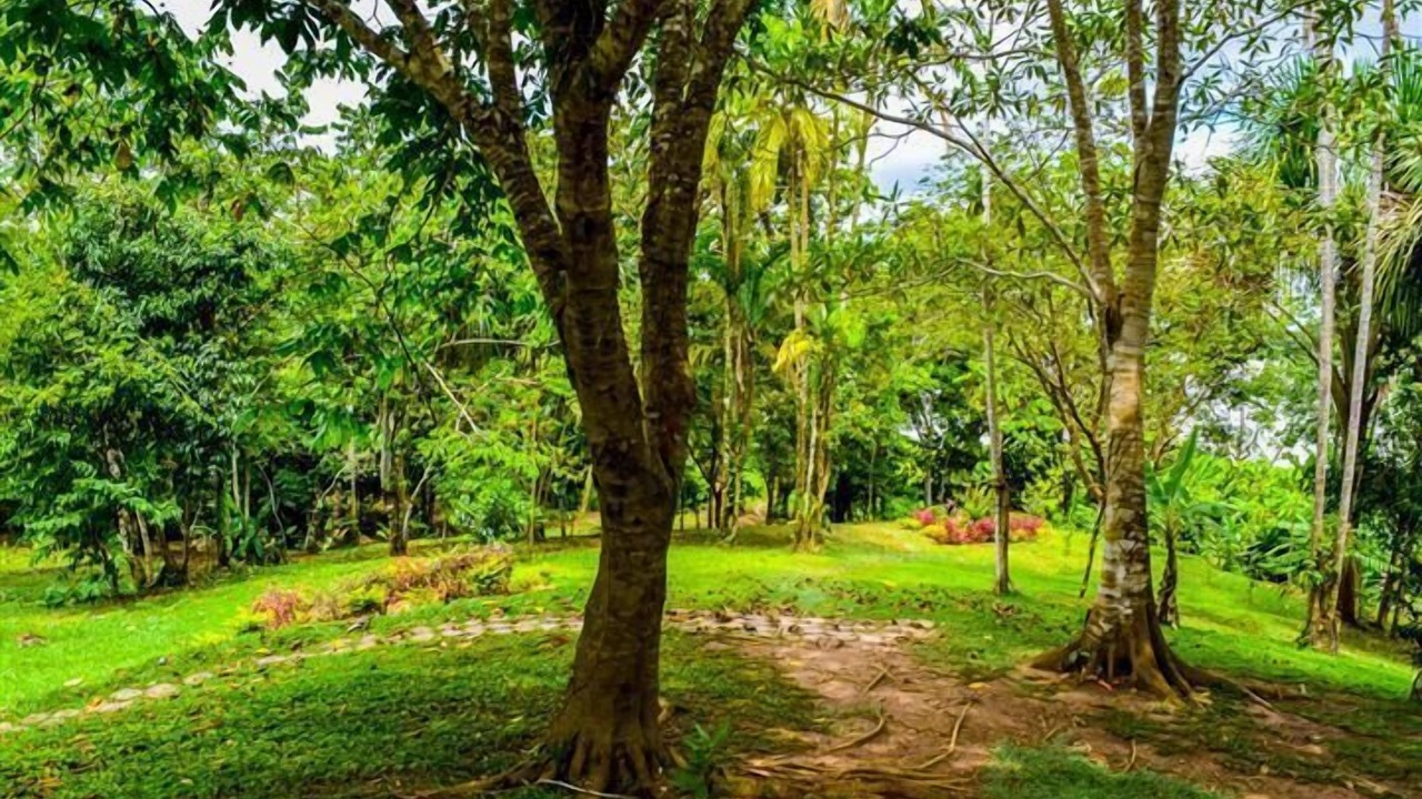 Photo of Outdoor in Nauta