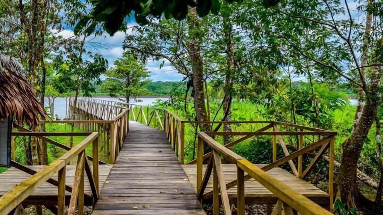 Photo of Outdoor in Nauta