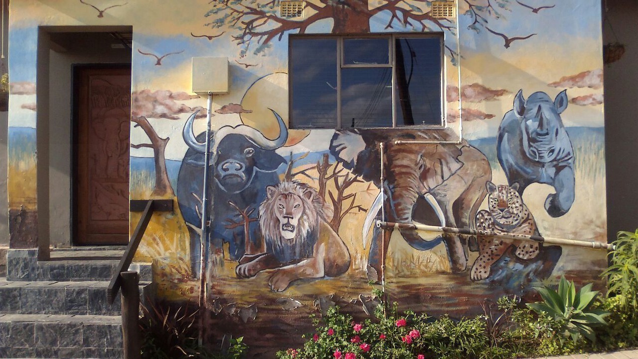Photo of Outdoor in Umtata
