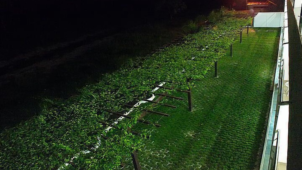 Photo of Outdoor in Guaibim