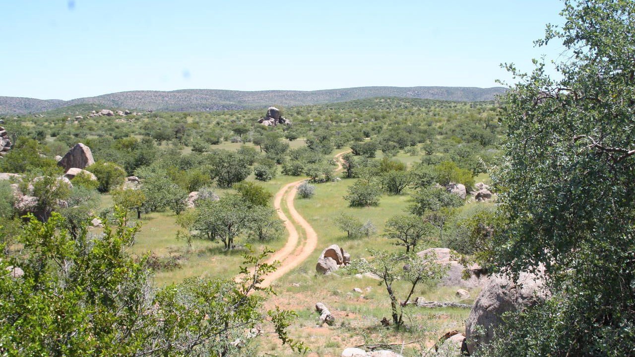 Photo of Outdoor in Palmwag