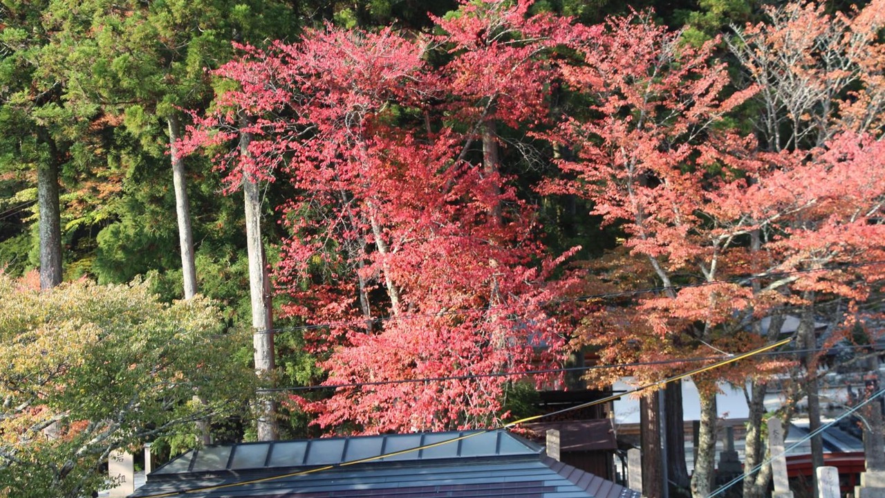 Photo of Outdoor in Tenkawa