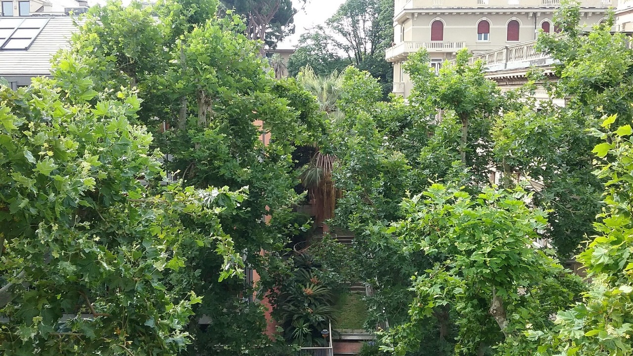 Photo of Outdoor in Albaro