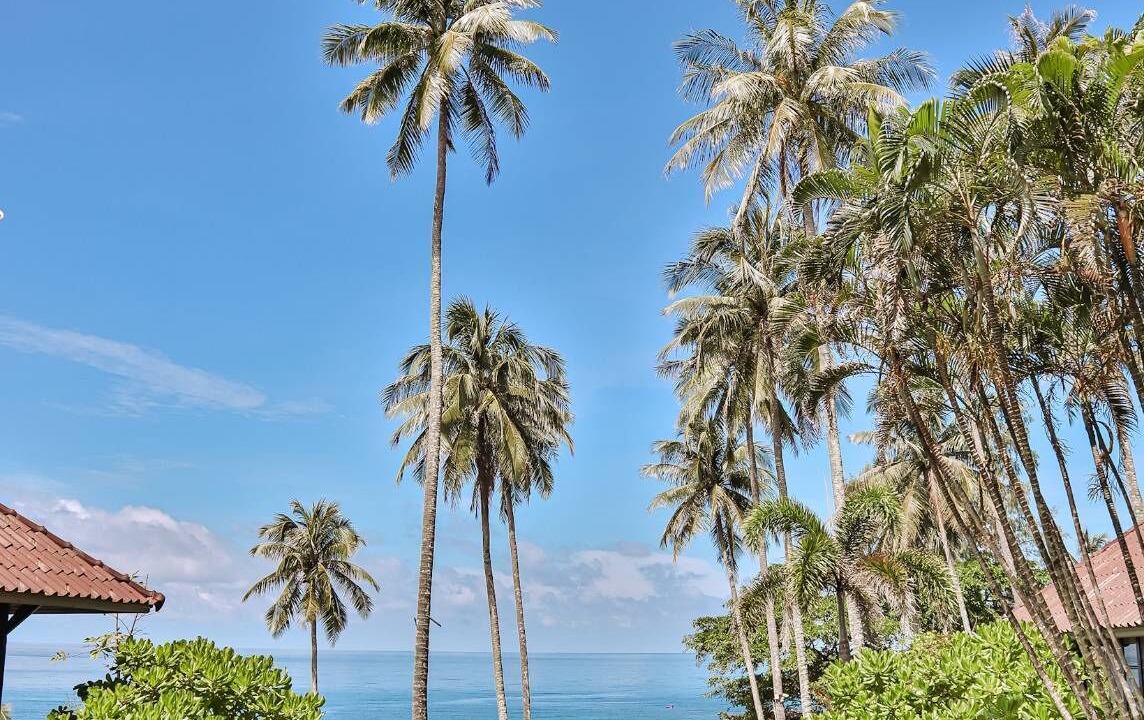 Photo of Outdoor in Ko Kood