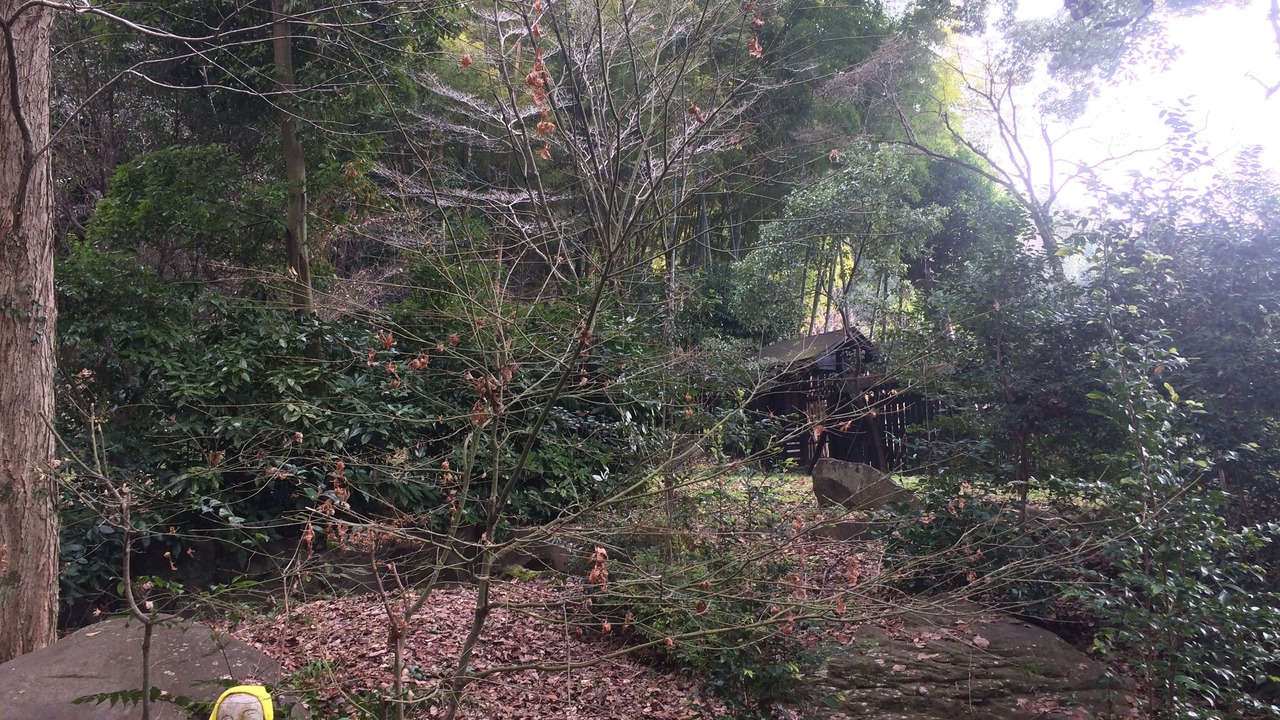 Photo of Outdoor in Kikuchi