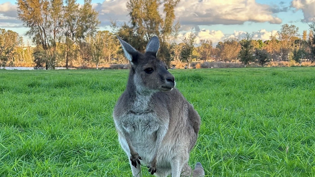 Photo of Others in Perth