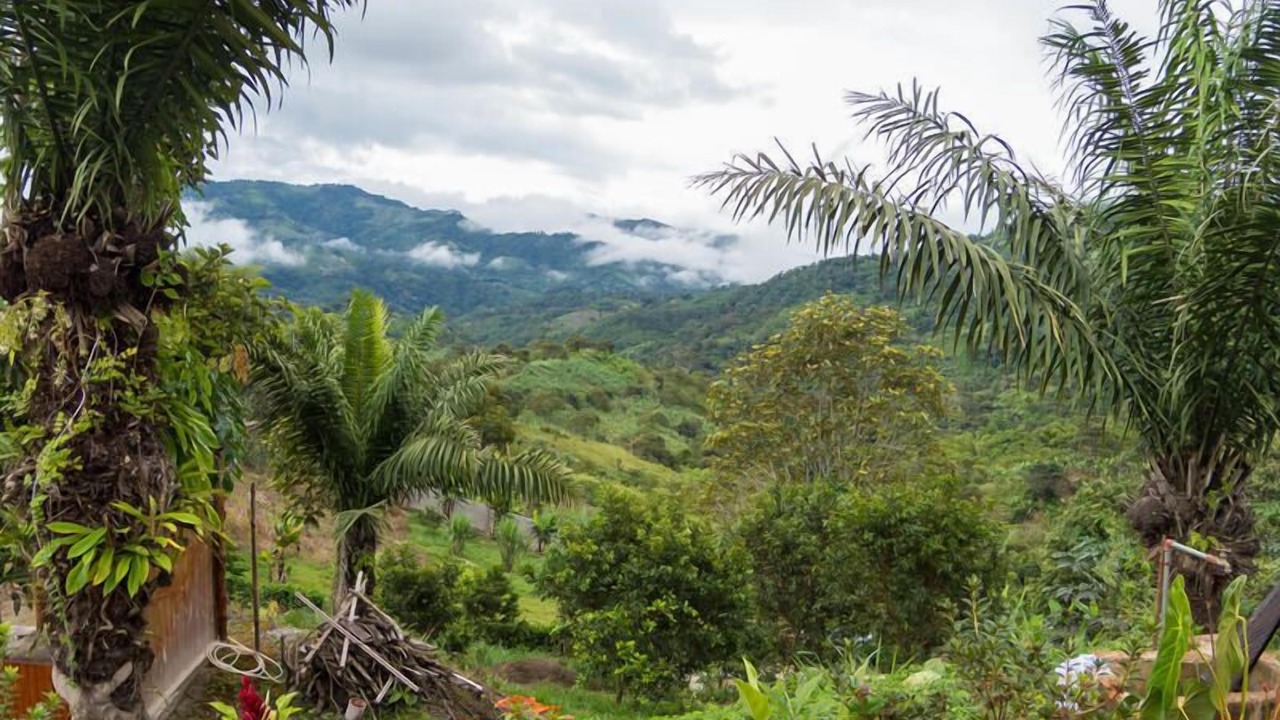 Photo of Others in Guanabana