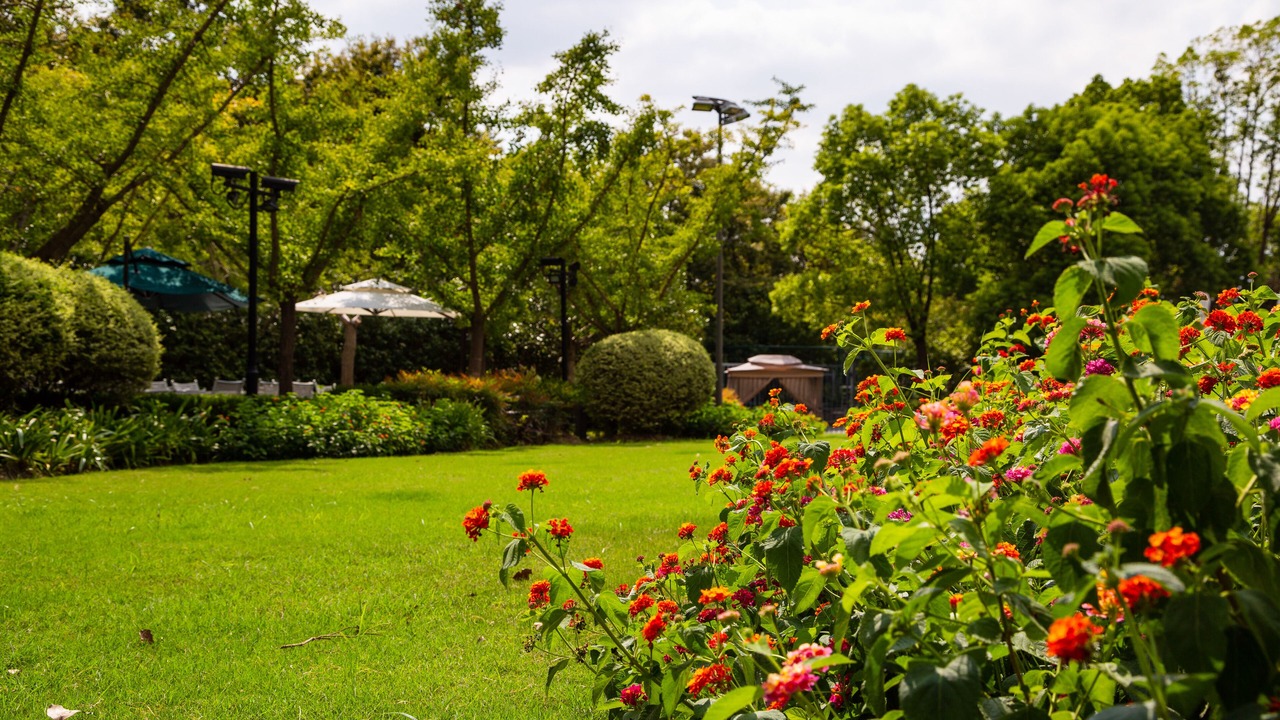 Photo of Outdoor in Qingpu