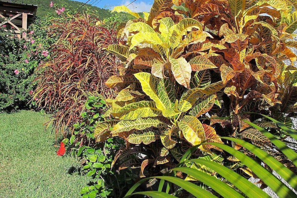 Photo of Outdoor in La Gaulette