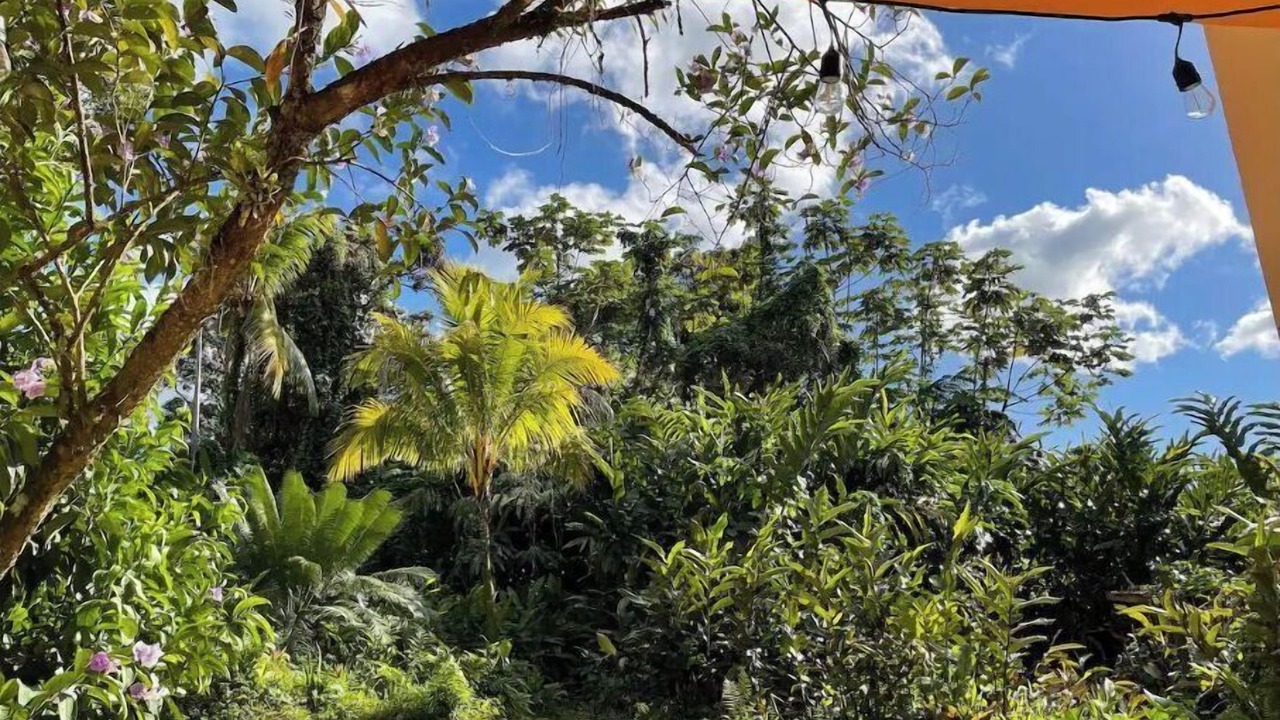 Photo of Outdoor in Guzman Arriba