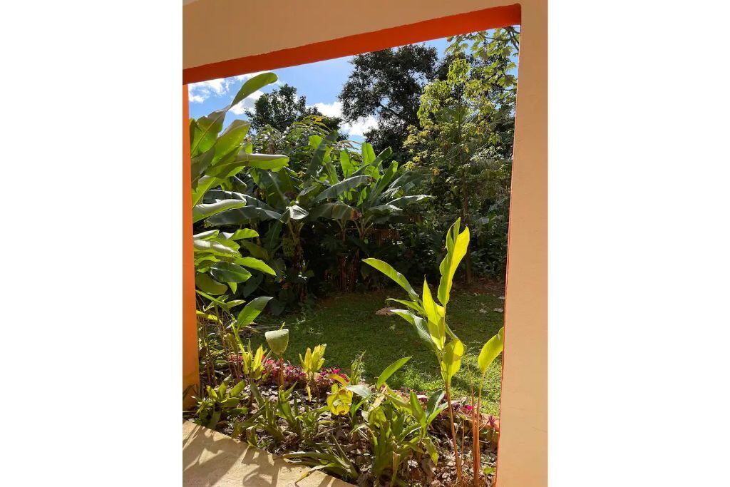 Photo of Outdoor in Guzman Arriba