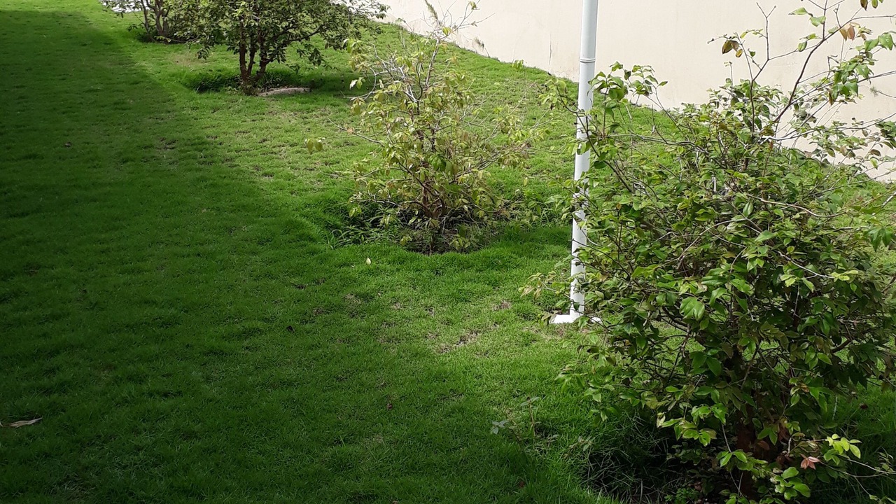 Photo of Outdoor in Caixa-Pregos