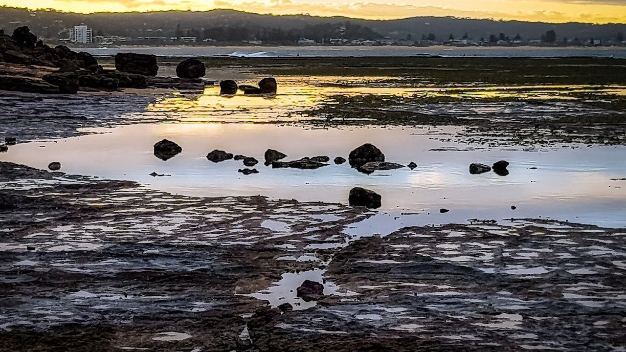 Photo of Others in Collaroy